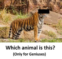22308758_2645607449101356_8522293167551392842_n.jpg