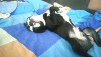 DSC_1296.JPG