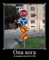 Слика.JPG