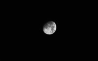 moonce 4.jpg