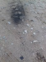 20180304_172119.jpg