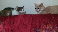 IMG_20180104_211441_041_1519889017014.jpg