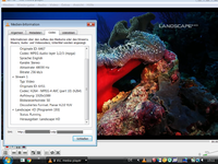 LS HD 1.png