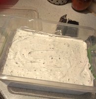 IMG_20180314_160017.jpg