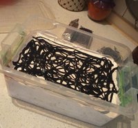 IMG_20180314_160230.jpg