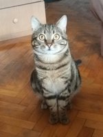 20180330_170350.jpg