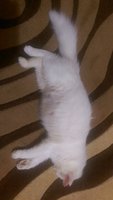 IMAG0259.jpg