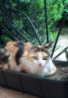 IMG_20160102_190322_886.JPG