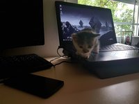 20180505_125443.jpg