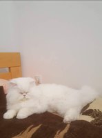 20180527_135611.jpg