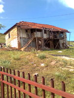 Picture 195.jpg