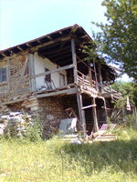 Picture 183.jpg