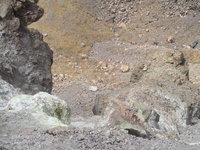 IMG_5020.JPG