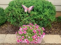 20180701_130549.jpg