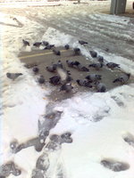 Picture 1948.jpg