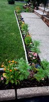 20180803_105030.jpg