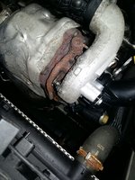 20181102_130530.jpg