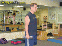 biceps-exercises-dumbbell-alternate-bicep-curls.gif