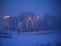 DSC00080.jpg