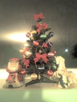 Picture 0192.jpg