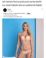 dc4fb36d968bfdfb0d19f66a7997b22f.jpg