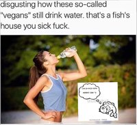 1544848332567.jpg