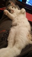 20190110_202118.jpg