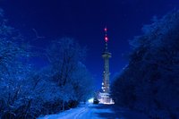 sofia29.jpg
