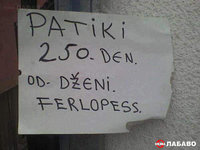 dzeni.jpg