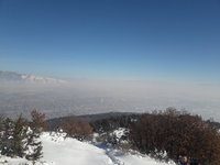 20190127_112724.jpg