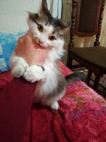 IMG_20190226_203441.jpg