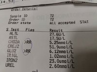 54516237_343255546301997_1250252571705081856_n.jpg