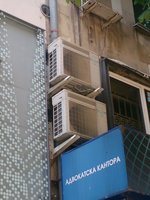 DSC_1567.JPG