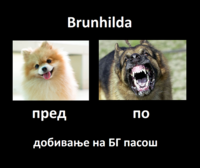 brunhilda.png