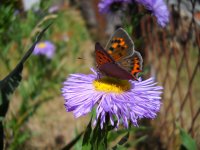 DSCN3345.jpg