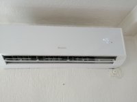 IMG_20190621_140743.jpg