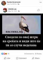08B73250-F4EB-4EBC-93EF-7B77BC2D8664.jpeg