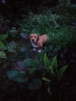 20190606_202357.jpg