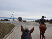 20180322_150143.jpg
