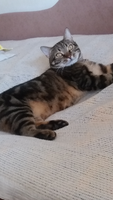 Screenshot_20190923-150713.png