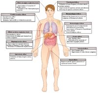 kpi-20-179f1 (1).jpg