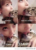 funny-Asian-girl-licking-cat.jpg