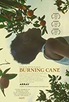 Burning Cane.jpg