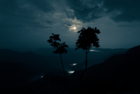 1577736948814.png
