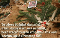 Srecan Bozic.png