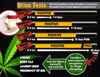 thc levels.jpg