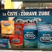 28933_225576520_zubi.jpg