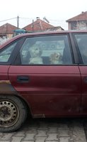 20200118_135540.jpg