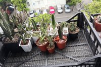 20190514_073103.jpg