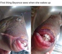 WhatBeyoneSees.jpg